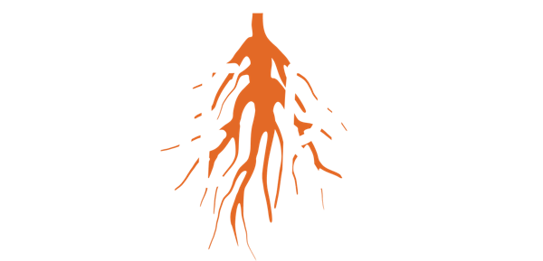 Wylde Roots